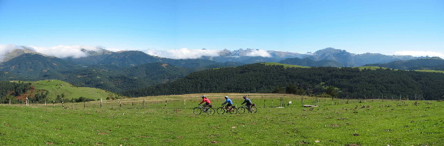 salazar4