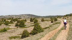 Javalambre2