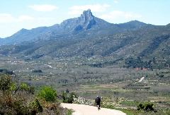 Villalonga2