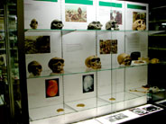 Imagen del Museo