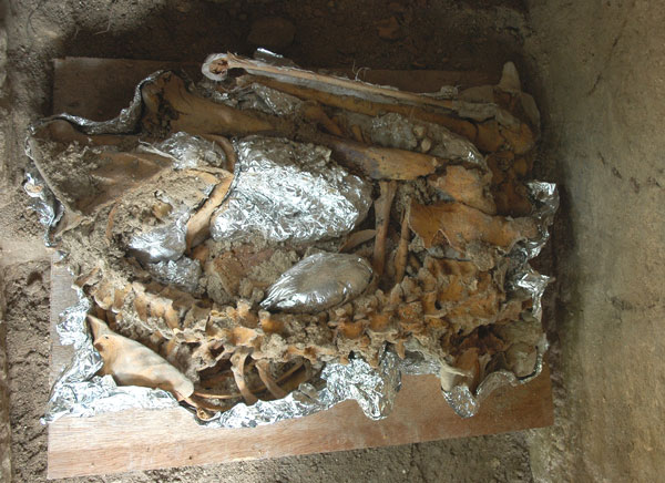 El resto óseo tras su extracción, donde se aprecia la forma posicional del entierro (Foto B. Carrascosa)