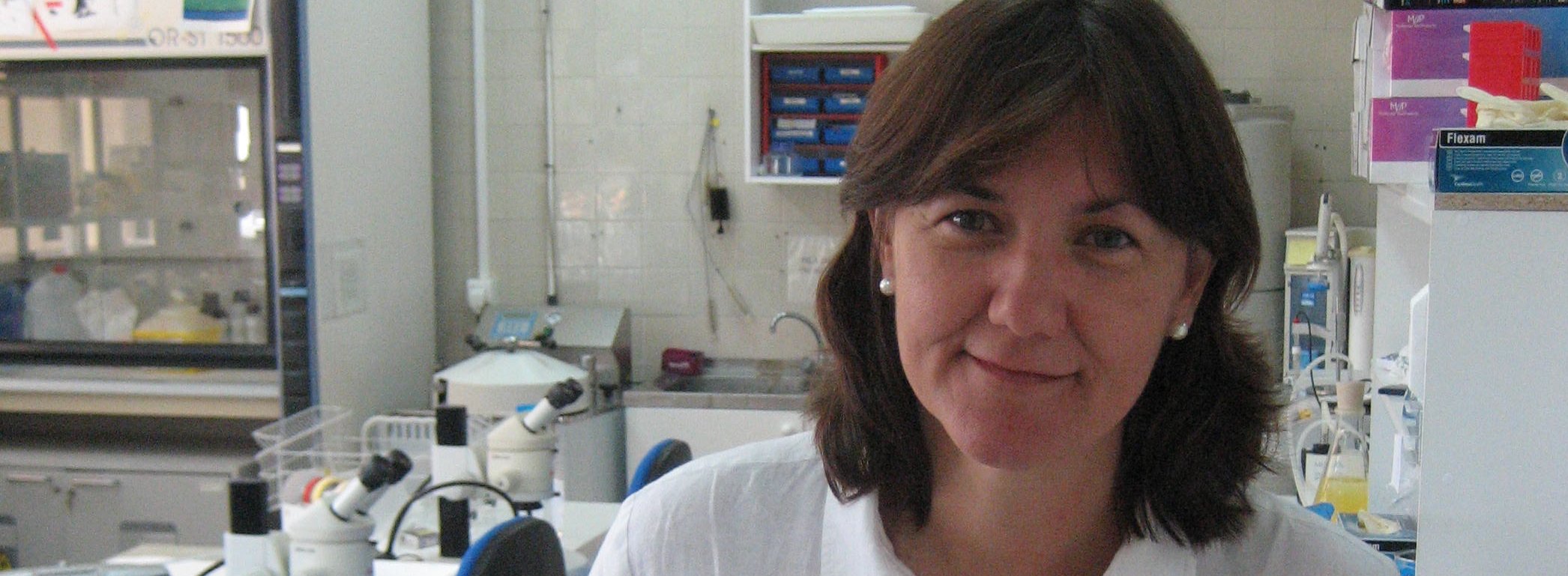 isabel fariÃ±as
