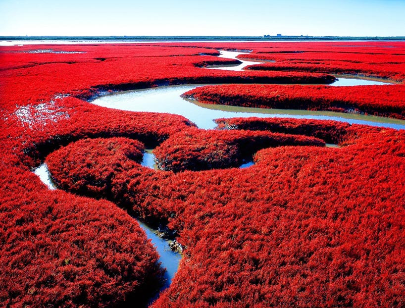 Playa roja