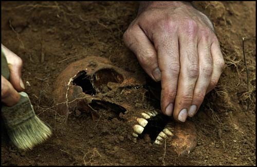 Valdediós, Astúries. Un arqueòleg neteja un dels cranis d'una de les infermeres de la fossa de Valdediós.