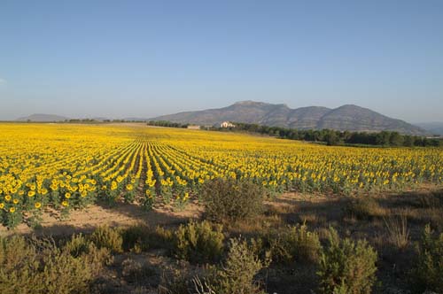 Les Terres dels Alforins