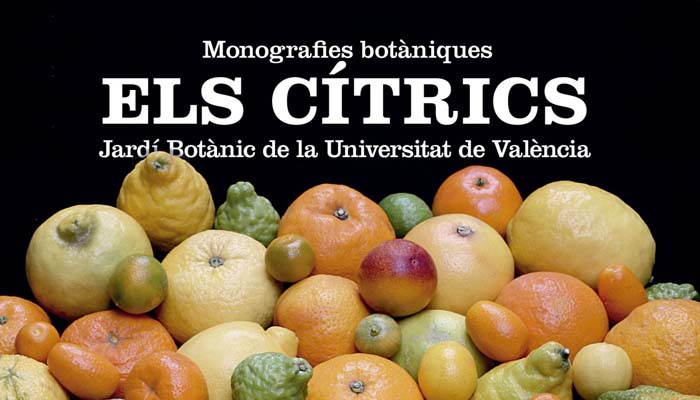 Elc Cítrics. Monografies botàniques