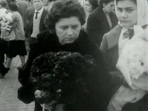 Cicle de cinema ‘Encreuament de ciutats’