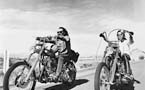 Easy Rider