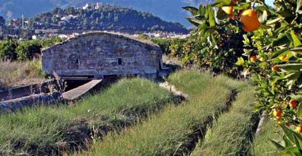 Hortes històriques valencianes: Patrimoni viu de la humanitat. Presentació de les jornades. 09/05/2018. La Nau. 12.00 h