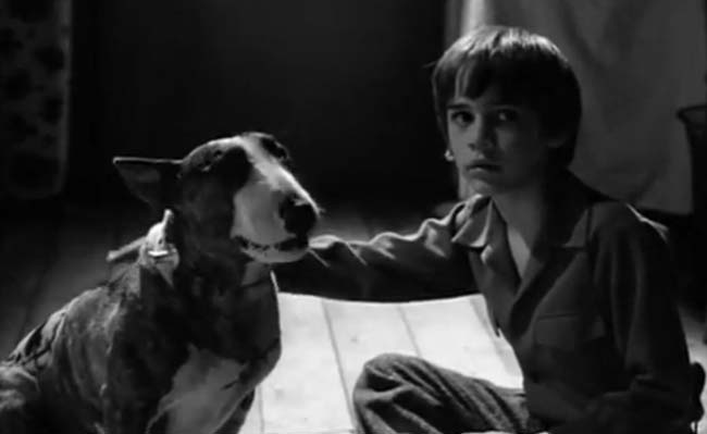 Frankenweenie (Tim Burton) / Re-Animator (Stuart Gordon)
