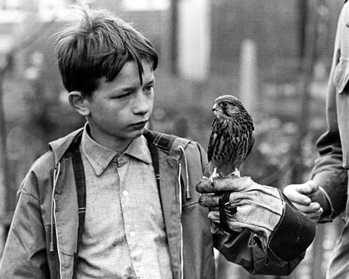 Kes (Ken Loach, 1969)