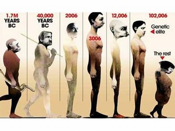 Human Evolution