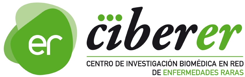 CIBERER CIBERER