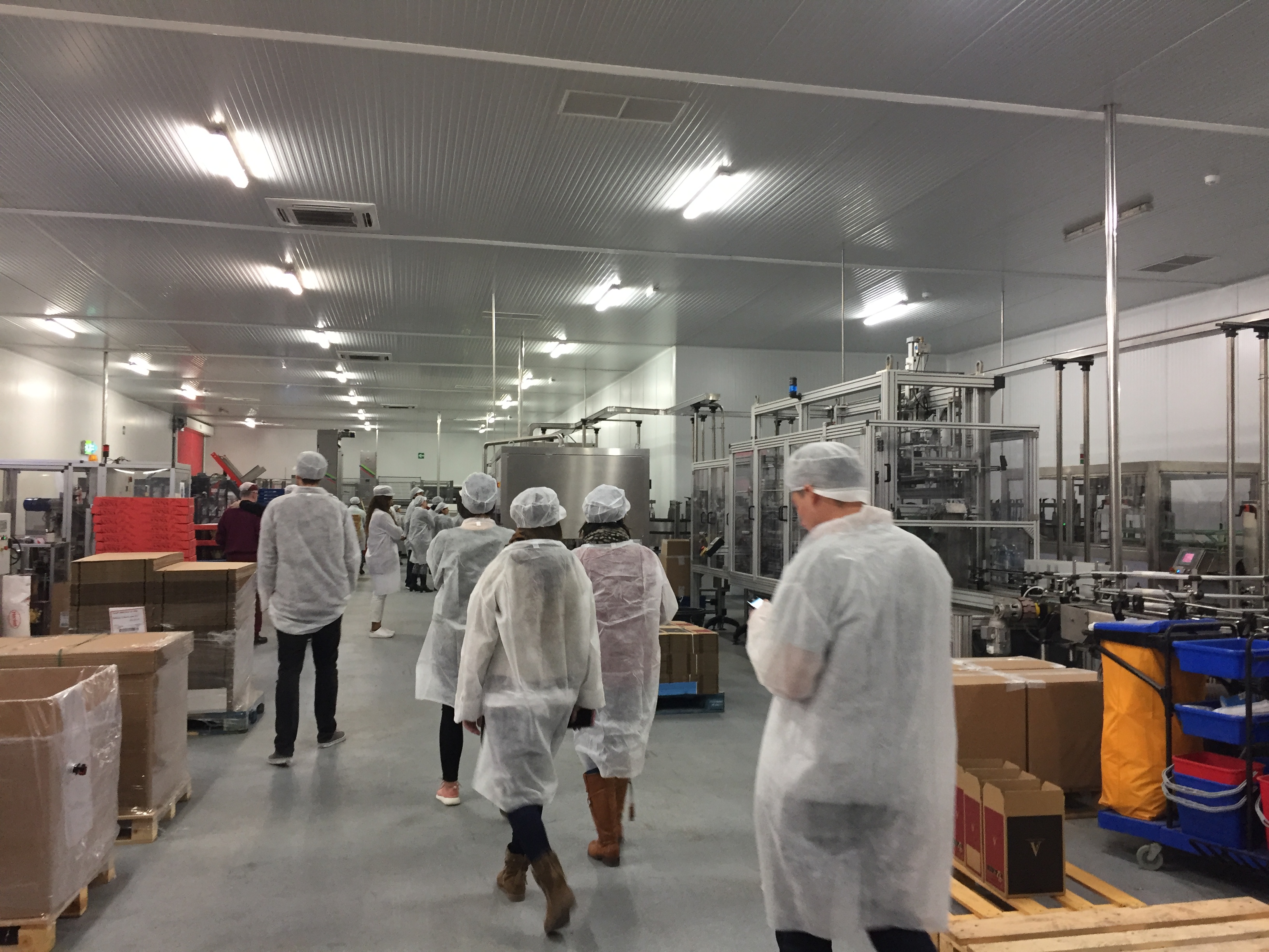 Estudiantes del Máster visitando la Bodega La Viña