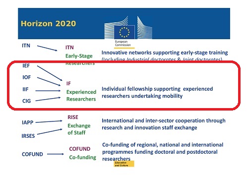 mca h2020