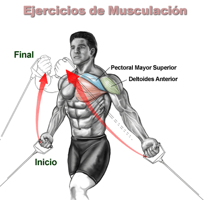 ejercicios musculacion