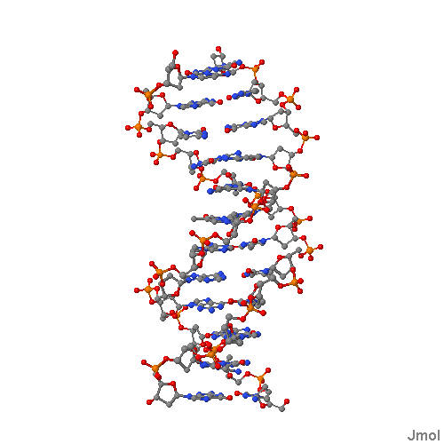DNA