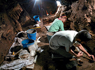 Interior cova amb excavadors