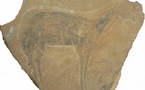 Image the first characterisation of prehistoric pigments from rock fragments in Cova del Parpalló