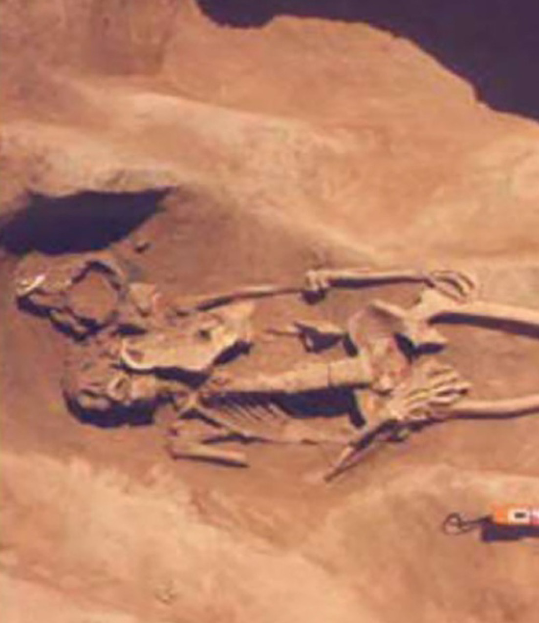 Imatge de l'excavació