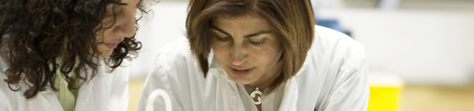 Premis extraordinaris de doctorat.