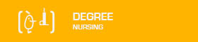 Degree in Nursing