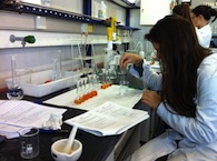 estudiants al laboratori