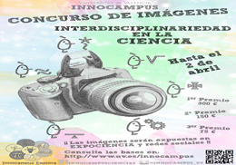 Innocampus: Concurs d'imatges - Interdisciplinarietat en la Ciència