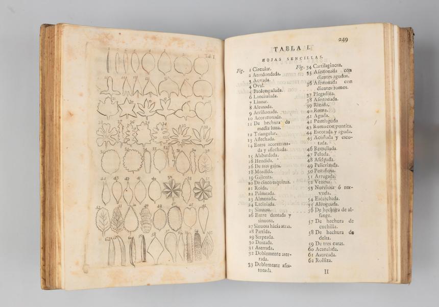 2.	Casimiro Gómez Ortega. Curso elemental de botánica, dispuesto para la enseñanza del Real Jardin de Madrid… En Madrid: en la Imprenta de la viuda é Hijo de Marin, 1795. Universitat de València. Biblioteca Històrica.