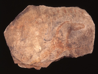 Les plaquetes (pedres calcàries de superfície plana i de gruix divers) de la cova del Parpalló presenten representacions zoomòrfiques, ramiformes i geomètriques executades amb pigments rojos i grocs.