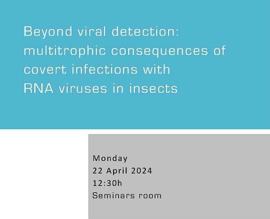 Beyond viral detection: multitrophic consequences of covert infections with RNA viruses in insects