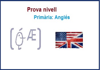 Proves de nivell: requisits lingüístics i accés itineraris
