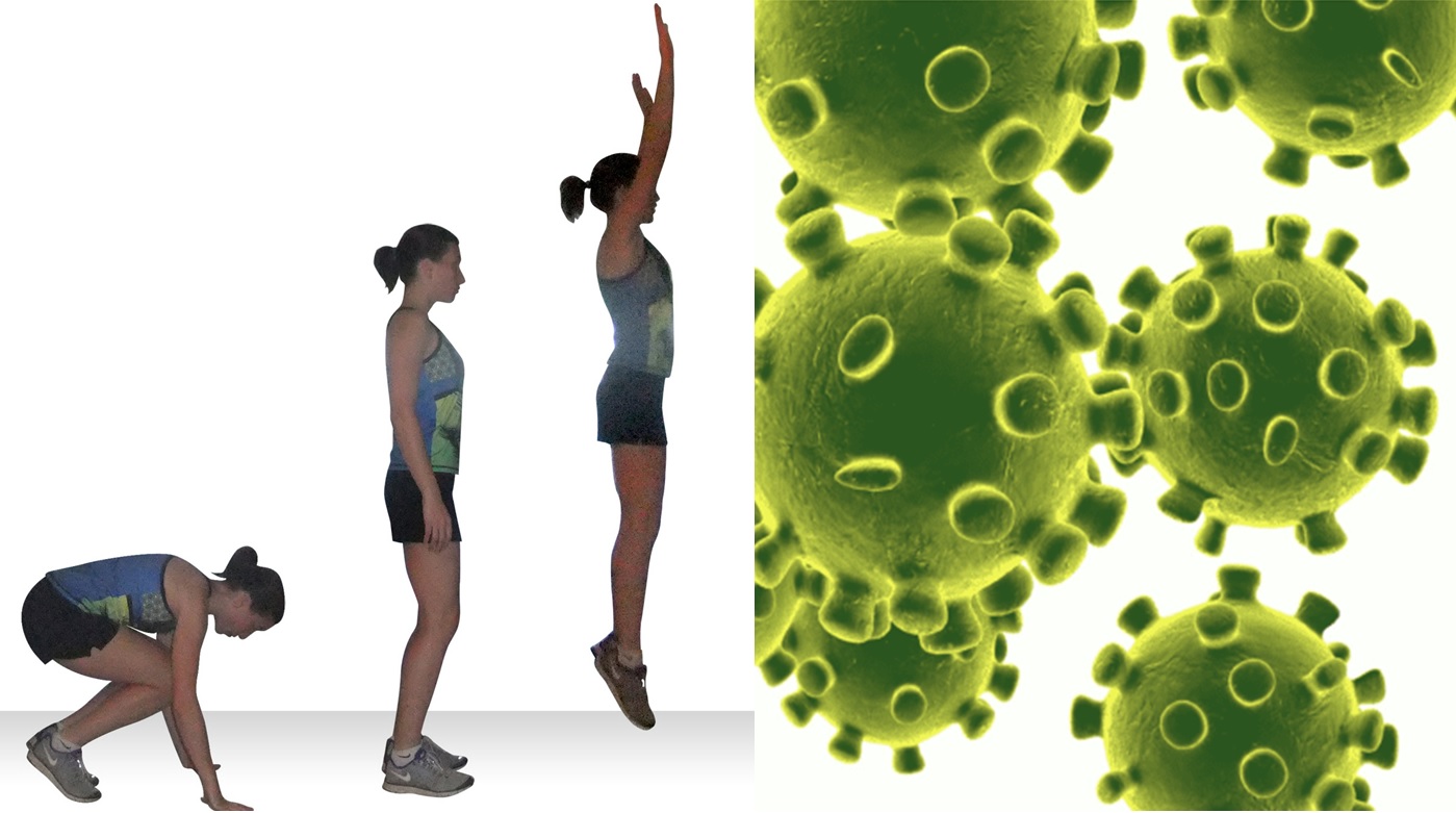 Coronavirus: ejercicios para hacer en casa durante la cuarentena 
