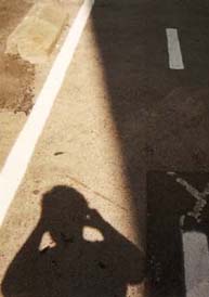 Imagen de la actividad