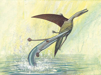 Pterosaure atacat per un peix (il∙lustració de Roberto Zanella).
