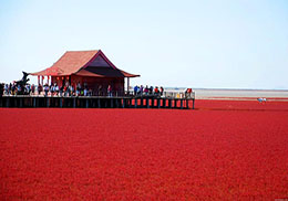 Platja roja