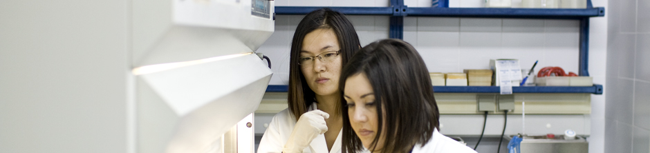 Estudiants de la Facultat. 