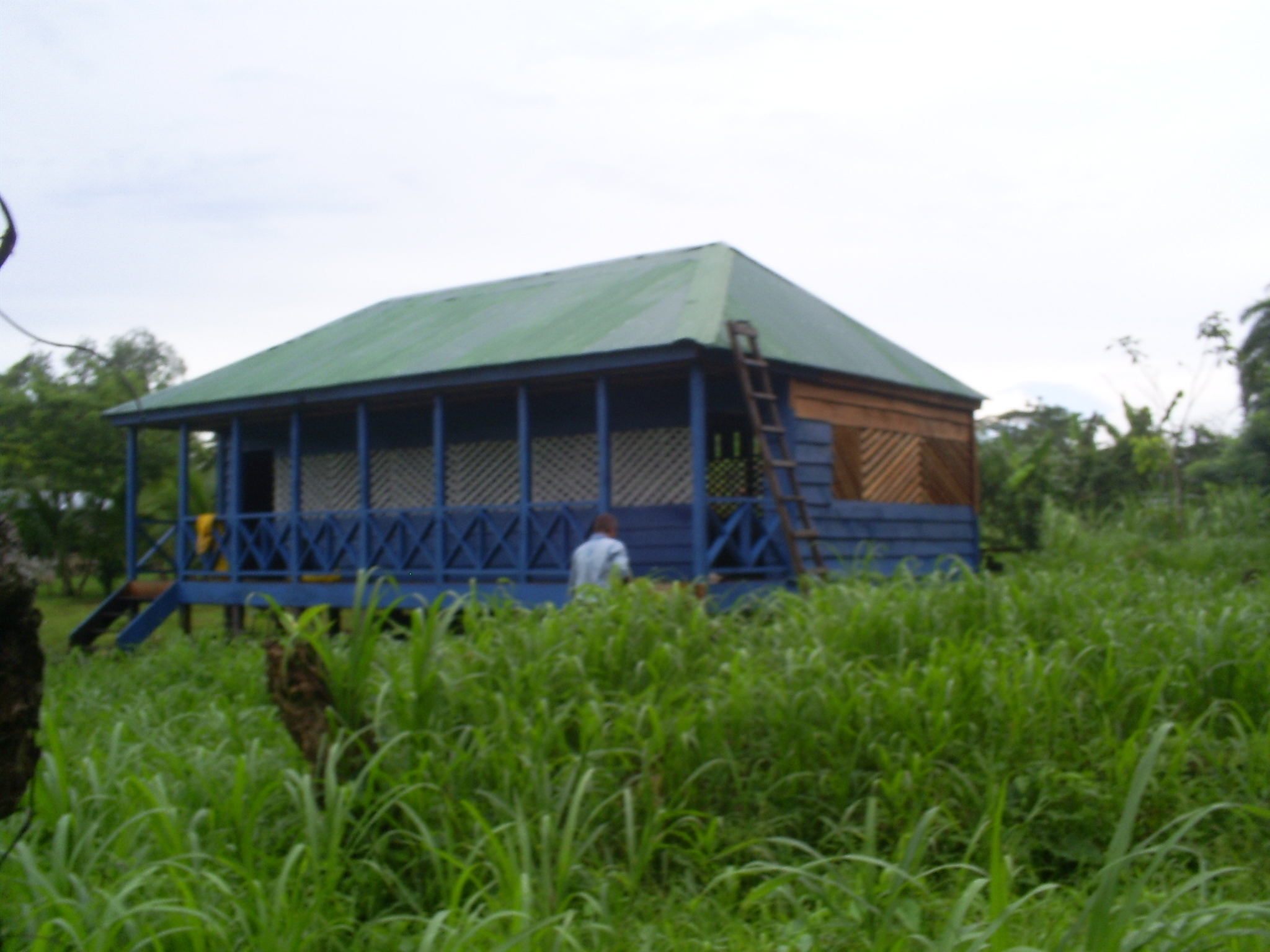 Escuelita