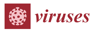cover_Viruses_