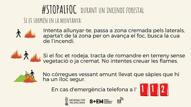 Texto
El contenido generado por IA puede ser incorrecto.