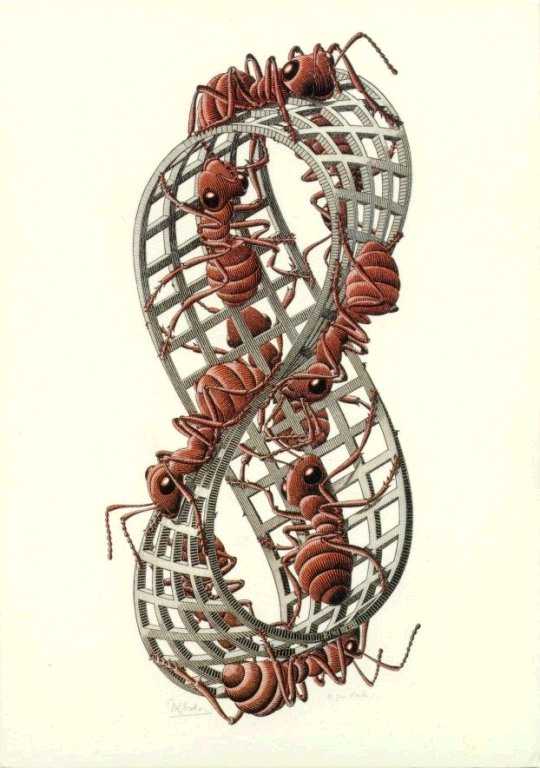 M.C. Escher M.C. Escher