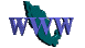 WWW in Mexico
