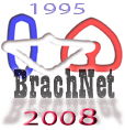 Brachnet logo