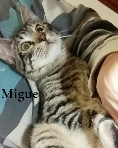migue1.jpg migue1.jpg