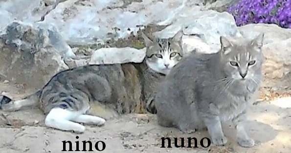 nn3.jpg nn3.jpg