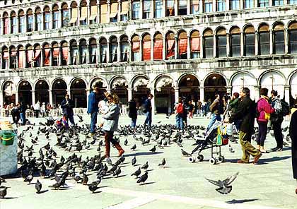 image/vensq.jpg, 46.9K