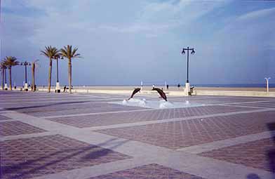 image/beach.jpg, 11K