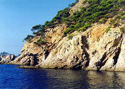 image/coast.jpg, 39.2K