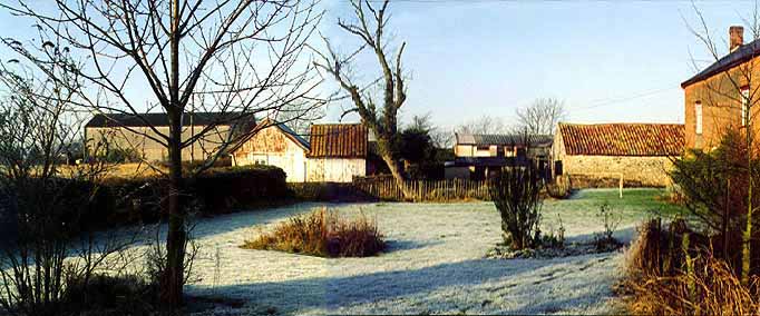 image/lawn.jpg, 50.2K