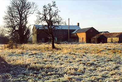 image/orchard.jpg, 31.7K